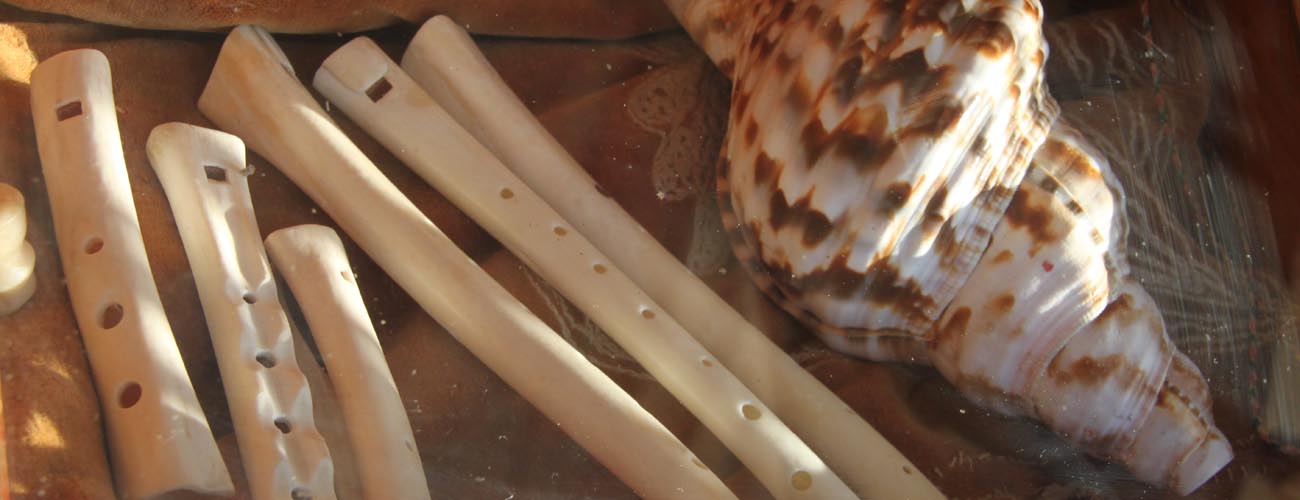 ausgefallene und seltene Blasinstrumente (Bild für) ausgefallene und seltene Blasinstrumente